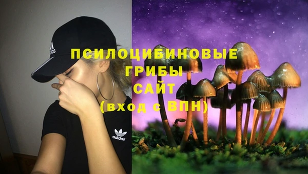 прущая мука Арсеньев