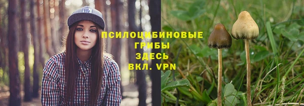 твердый Аркадак