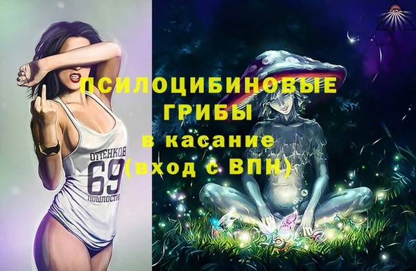 Альфа ПВП Алзамай