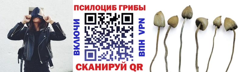 Псилоцибиновые грибы Psilocybe  Артёмовский 
